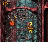 une photo d'Ã©cran de Donkey Kong Country 3 sur Nintendo Super Nes
